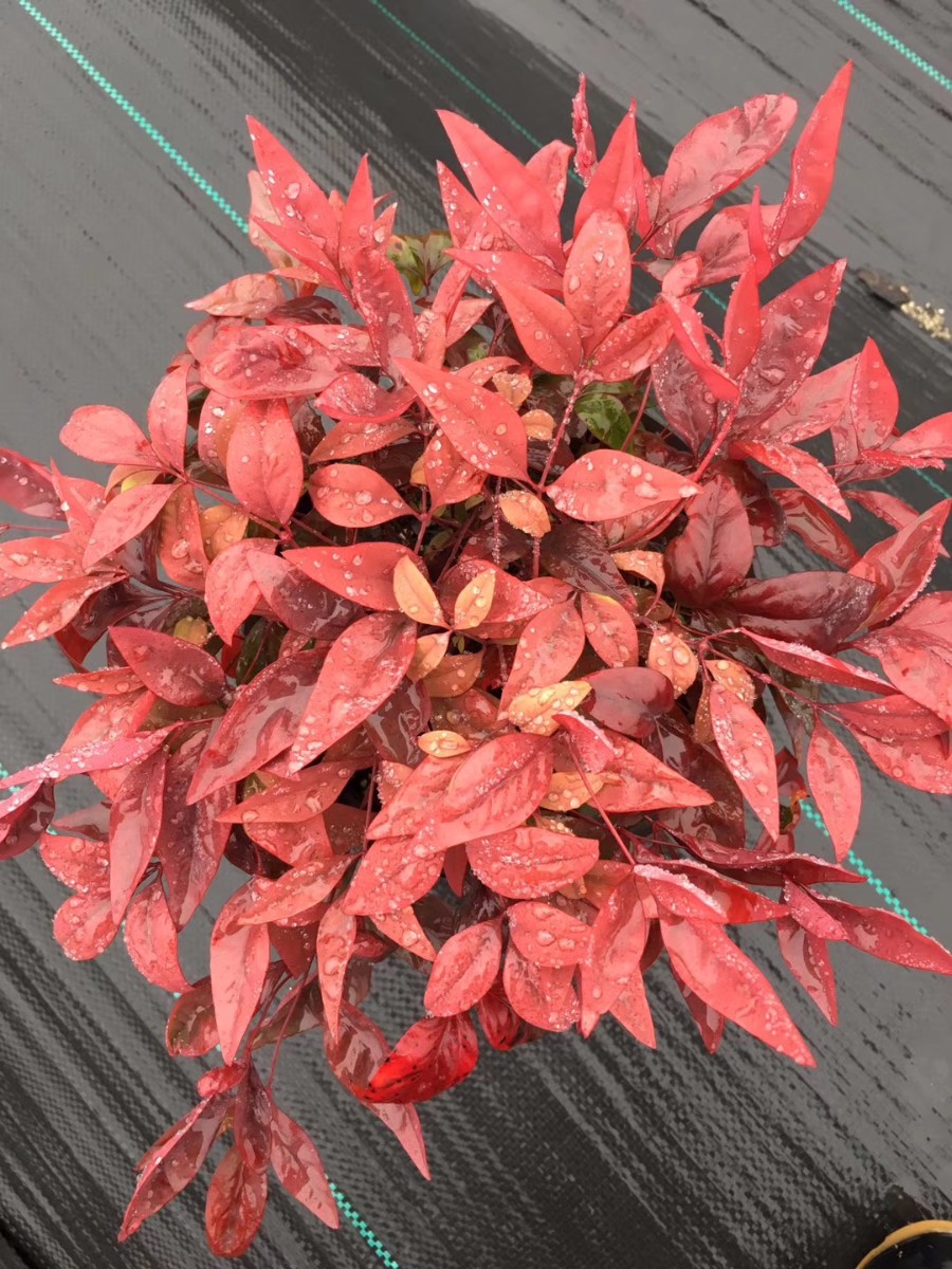 關(guān)于品質(zhì)，我們“用圖”說(shuō)話