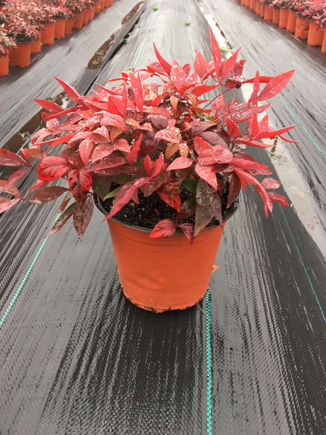 關(guān)于品質(zhì)，我們“用圖”說(shuō)話