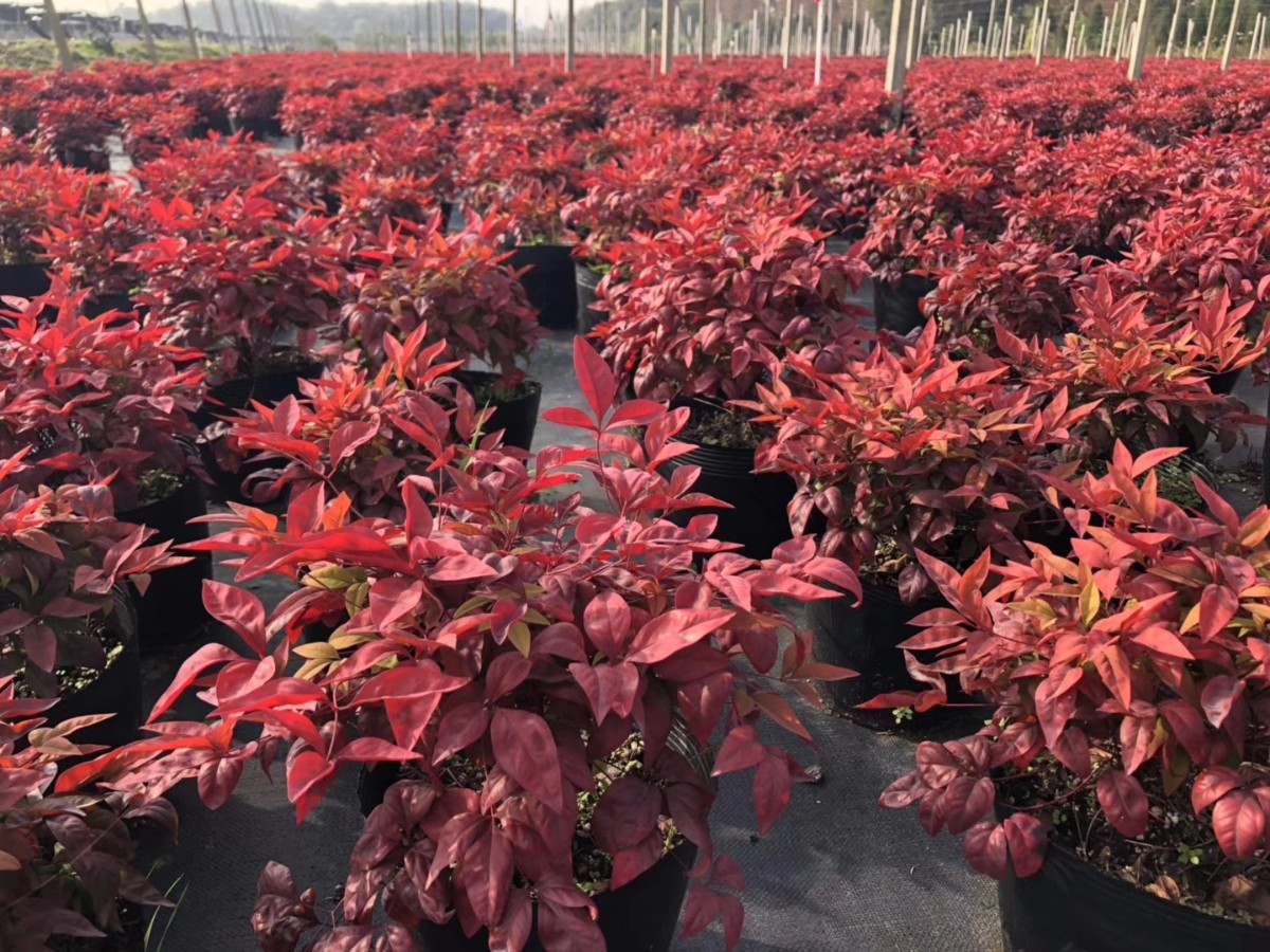 關(guān)于品質(zhì)，我們“用圖”說(shuō)話